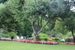 resIMG_20170709_224126_8200.JPG